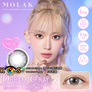 MOLAK 1day Dream Gray モラクワンデー ドリームグレー